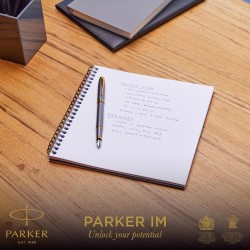 Parker Stilou Im Core Grey Gt Penita F 161054