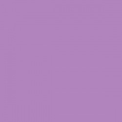 Pr Hartie Schita Canson Colorline 50x70 220gr Violet