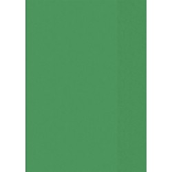 Br Coperta Caiet A4 Verde 104050450