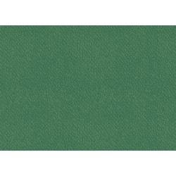 Kp Carton Texturat 50*70 220gr Verde Inchis 4720059