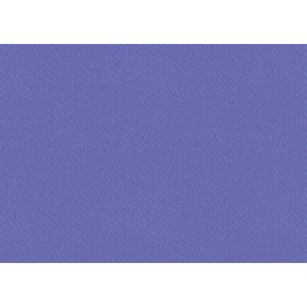 Kp Carton Texturat 50*70 220gr Violet Inchis 4720069