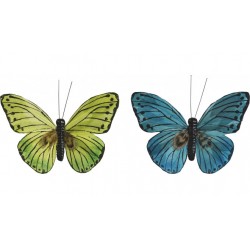 Kp Fluture 7*9cm 2/set Verde, Albastru 8030909