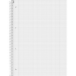 Br Caiet A4 80f Spira Si Perforatii Pastel Ii Patratele 6732894