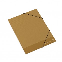 Am Dosar Carton Cu Elastic A4+  Kraft 207925