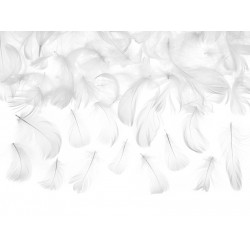 Pd Pene Decorative, Decorative Feathers, White, 3g Pd1-008