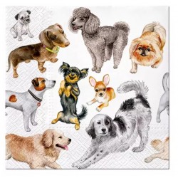 God Servetele Paw 33*33cm 20/set Dogs Happiness Sdl132600