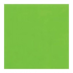 Ca Culori Acril Fluorescente Verde Neon 30ml Pentart 16479