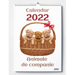 Ada Calendar Perete Animale De Companie 2022