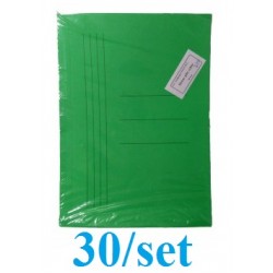 Dosar Plic Carton Gold 30/set Verde Intens