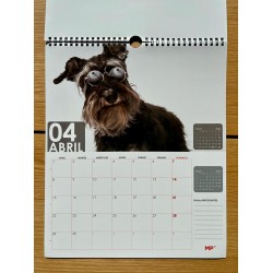 Calendar Perete Ipb 2024 28.5*34cm Funny Pets Pb24c-08-3