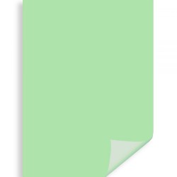 Carton Color Ipb 50*70cm 200gr Verde Pn446
