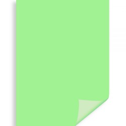 Carton Color Ipb 50*70cm 200gr Verde Fistic Pn447