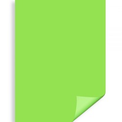 Carton Color Ipb 50*70cm 200gr Verde Iarba Pn448