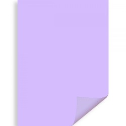 Carton Color Ipb 50*70cm 200gr Violet Pn455