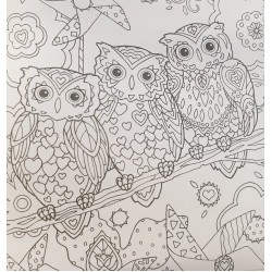 Leg Carte Colorat Adulti Owls/ Secret Garden C2382