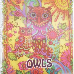 Leg Carte Colorat Adulti Owls/ Secret Garden C2382